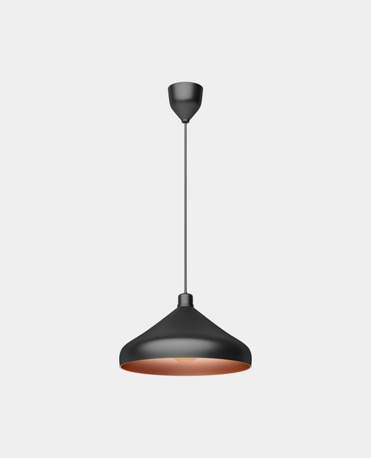 Black Metal Single Hanging Light